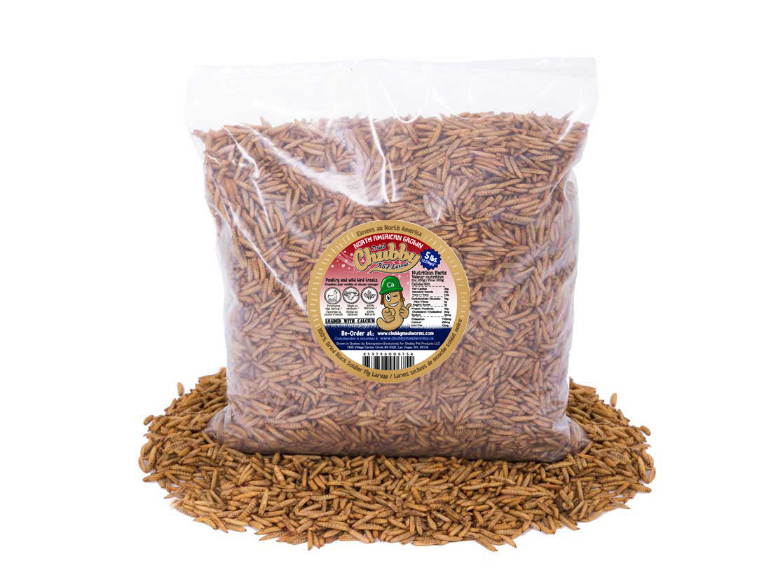 5LB Chubby Dried Black Soldier Fly Larvae - Grown in North America (Montreal) Non-GMO