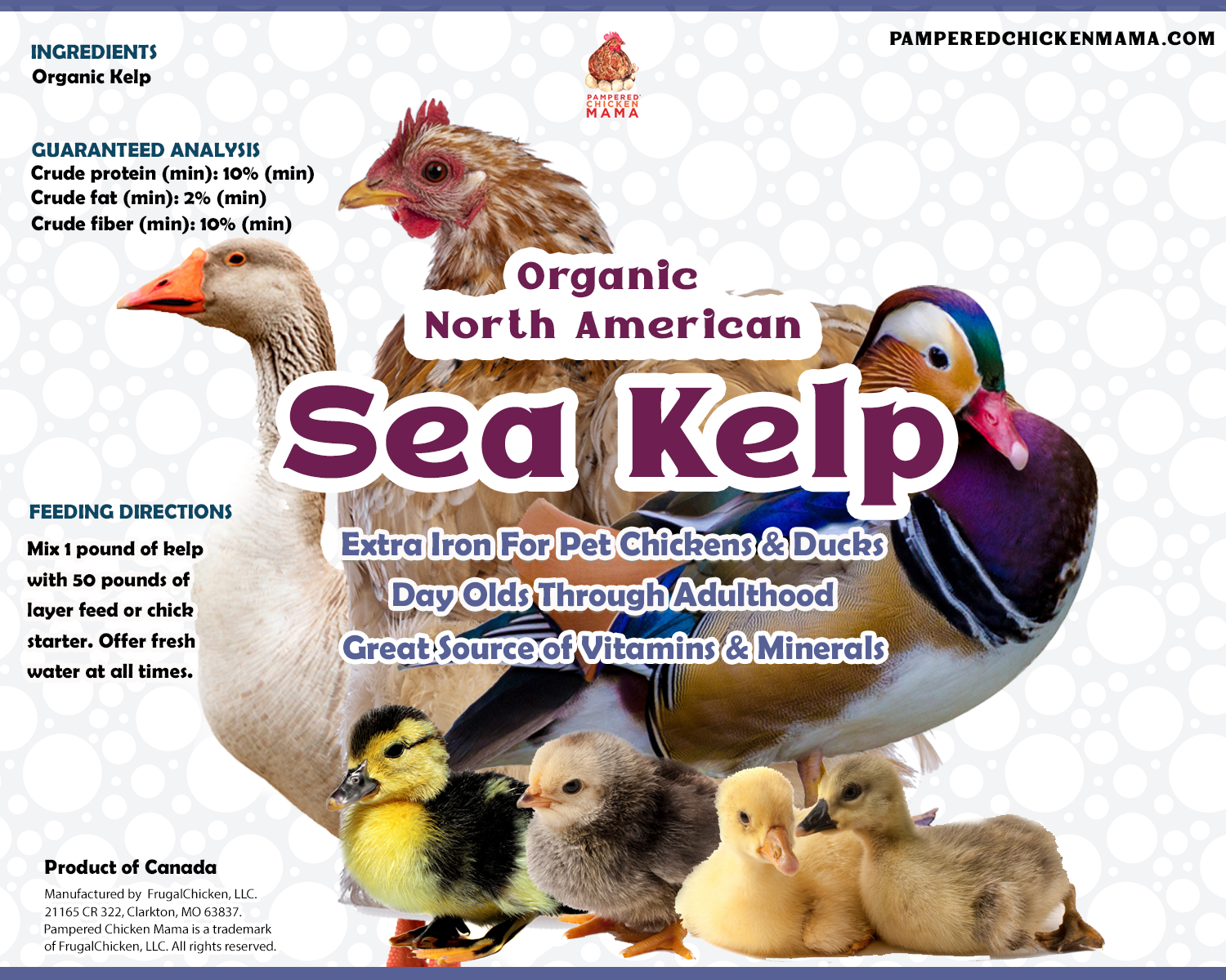 Pampered Chicken Mama North Atlantic Kelp For Extra Vitamins, Minerals, & Amino Acids For Pet Chickens & Ducks