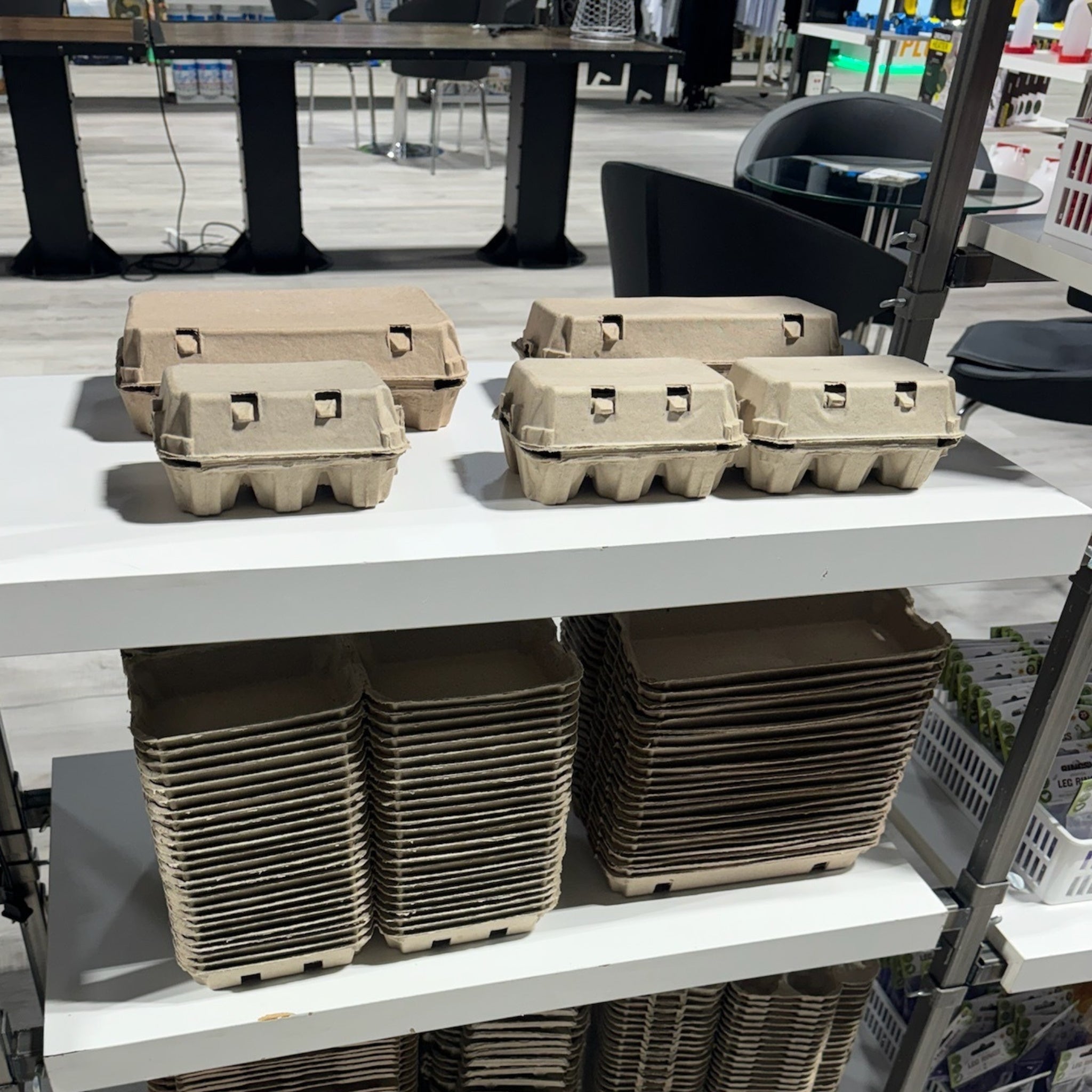 Hatching Time 12-Egg Cartons (2x6) - Natural Pulp, Flat Top Blank