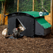 Nestera Chicken Coop Chicken Large House
