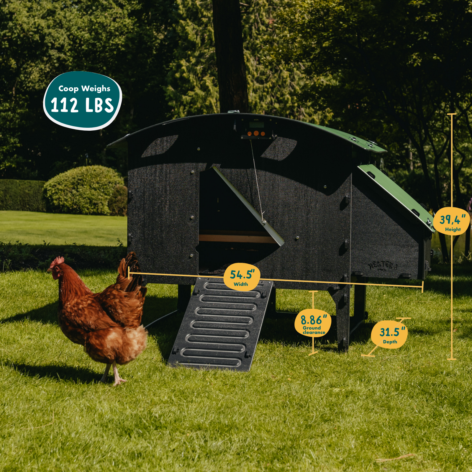 Nestera Chicken Coop Chicken Large Lodge Dimensions