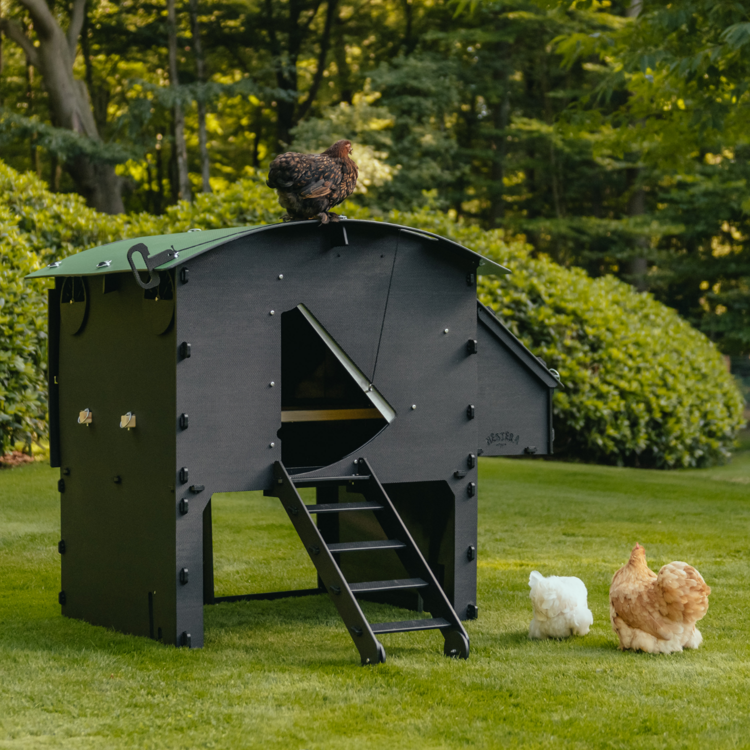 Nestera Chicken Coop Chicken Large Penthouse