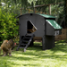 Nestera Chicken Coop Chicken Large Penthouse Back