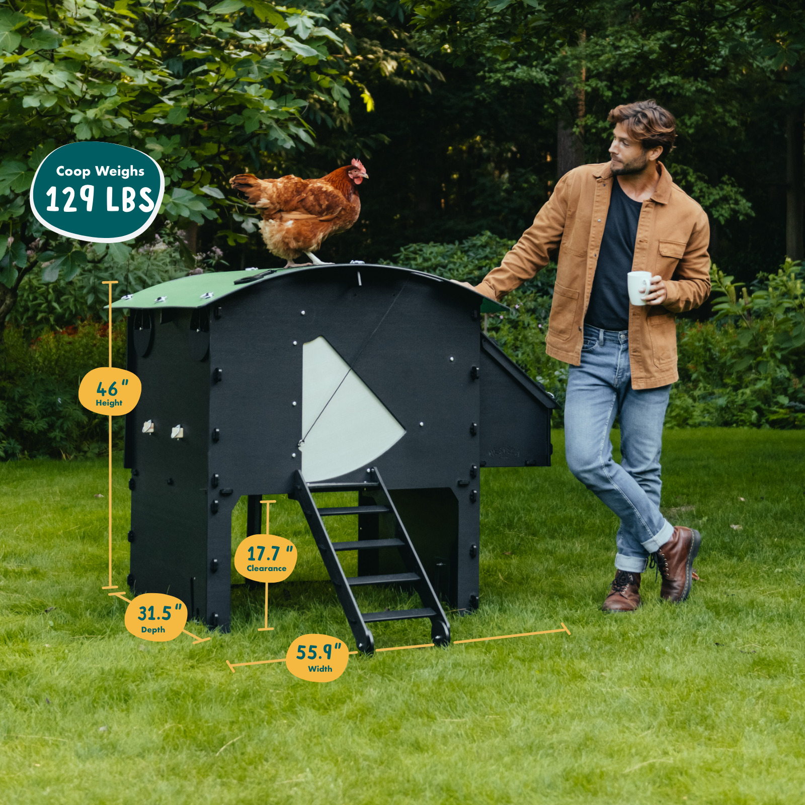 Nestera Chicken Coop Chicken Large Raised Dimensions