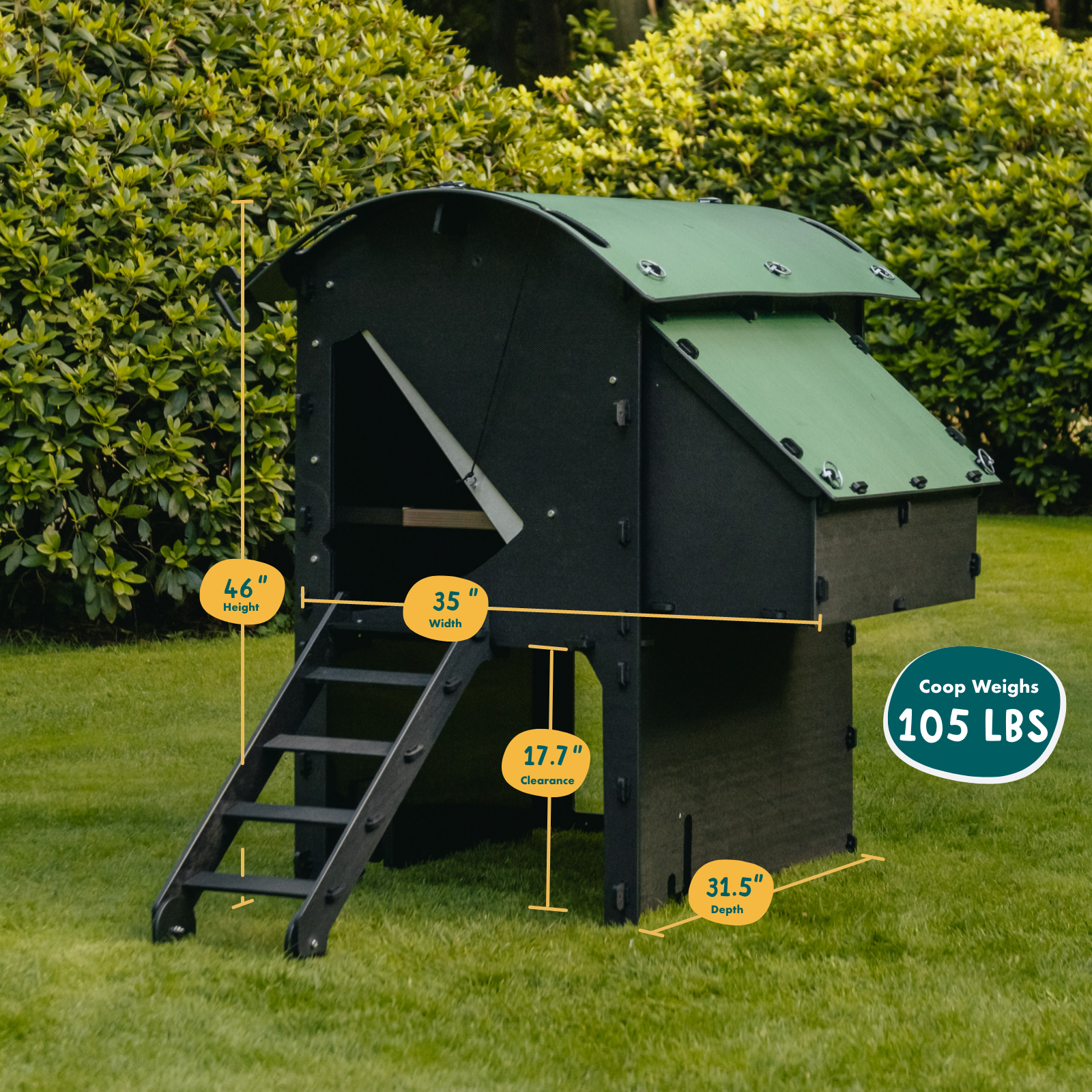 Nestera Chicken Coop Chicken Medium Raised Dimensions