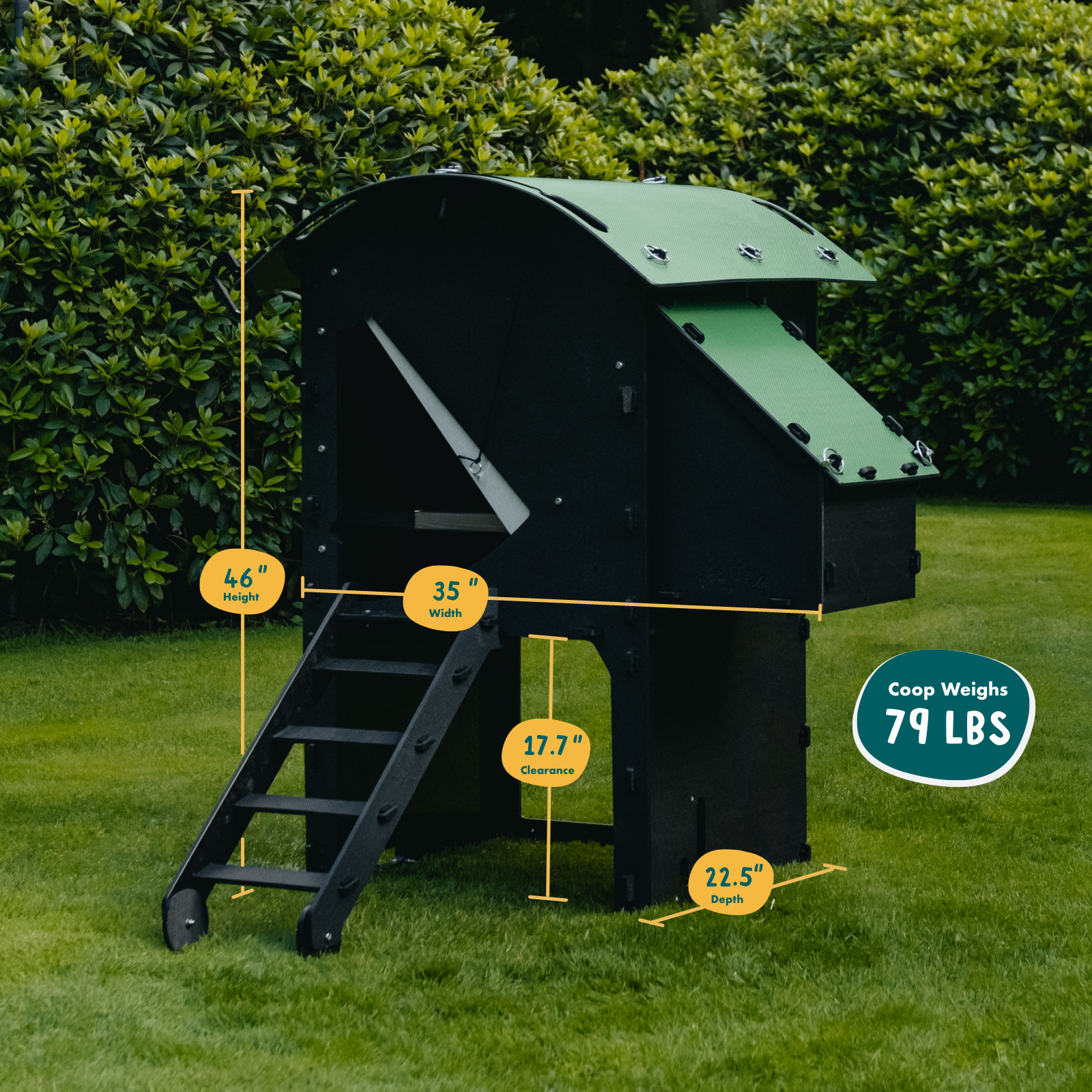 Nestera Chicken Coop Chicken Small Raised Dimensions