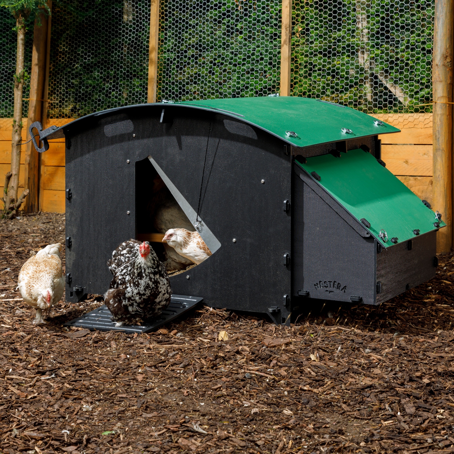 Nestera Chicken Coop Large Ground 25 year warranty