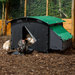 Nestera Chicken Coop Large Ground 25 year warranty