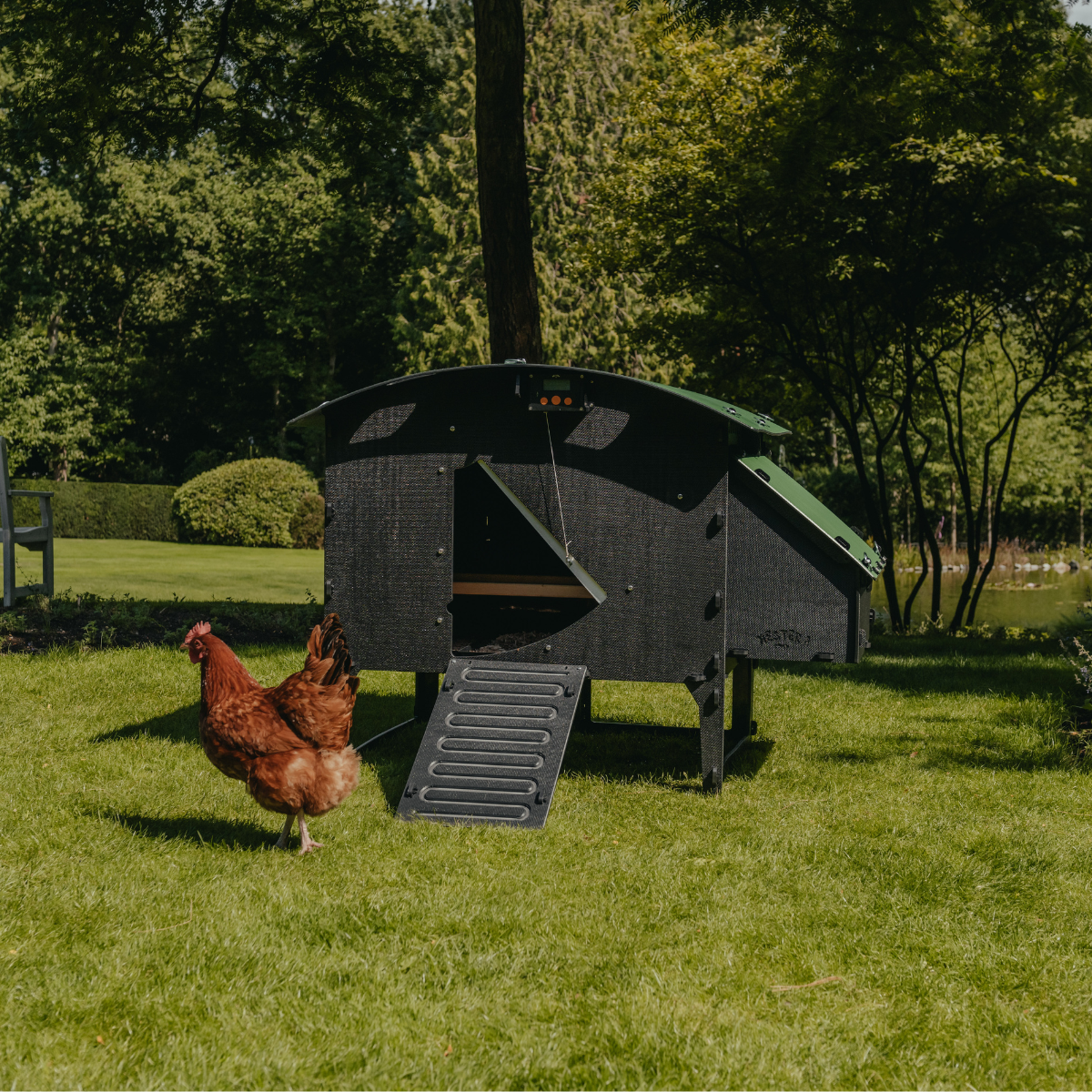 Nestera Chicken Coop Large Lodge