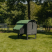 Nestera Chicken Coop Medium Lodge back side