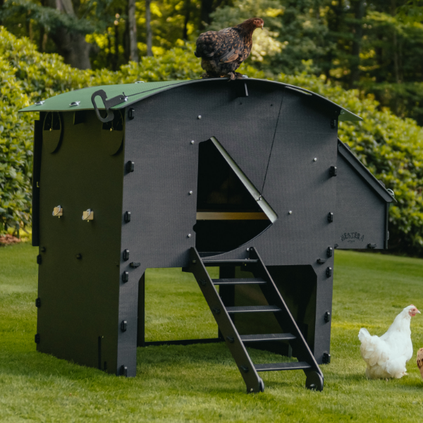Nestera Chicken coop Large Raised 