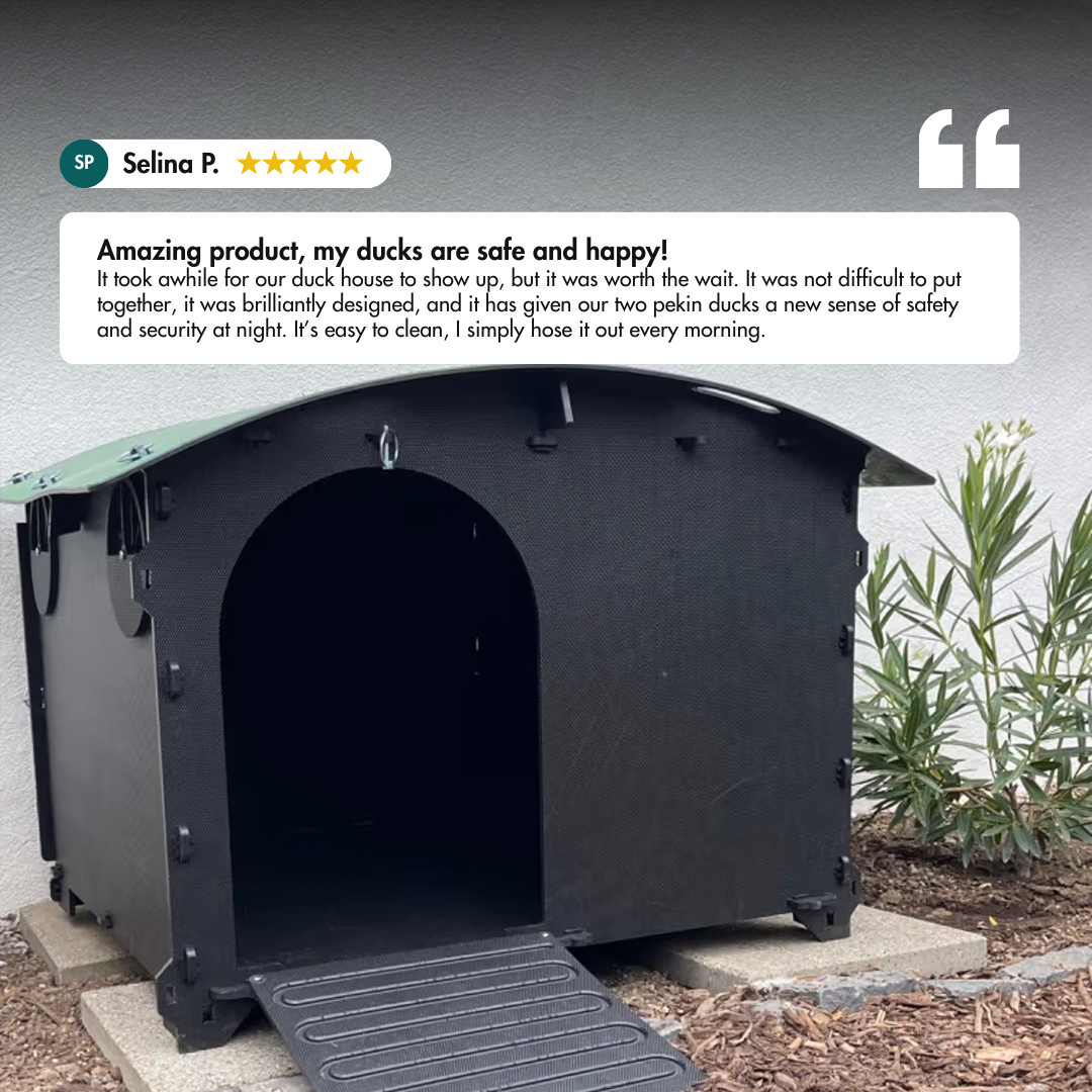 Nestera Duck House Reviews