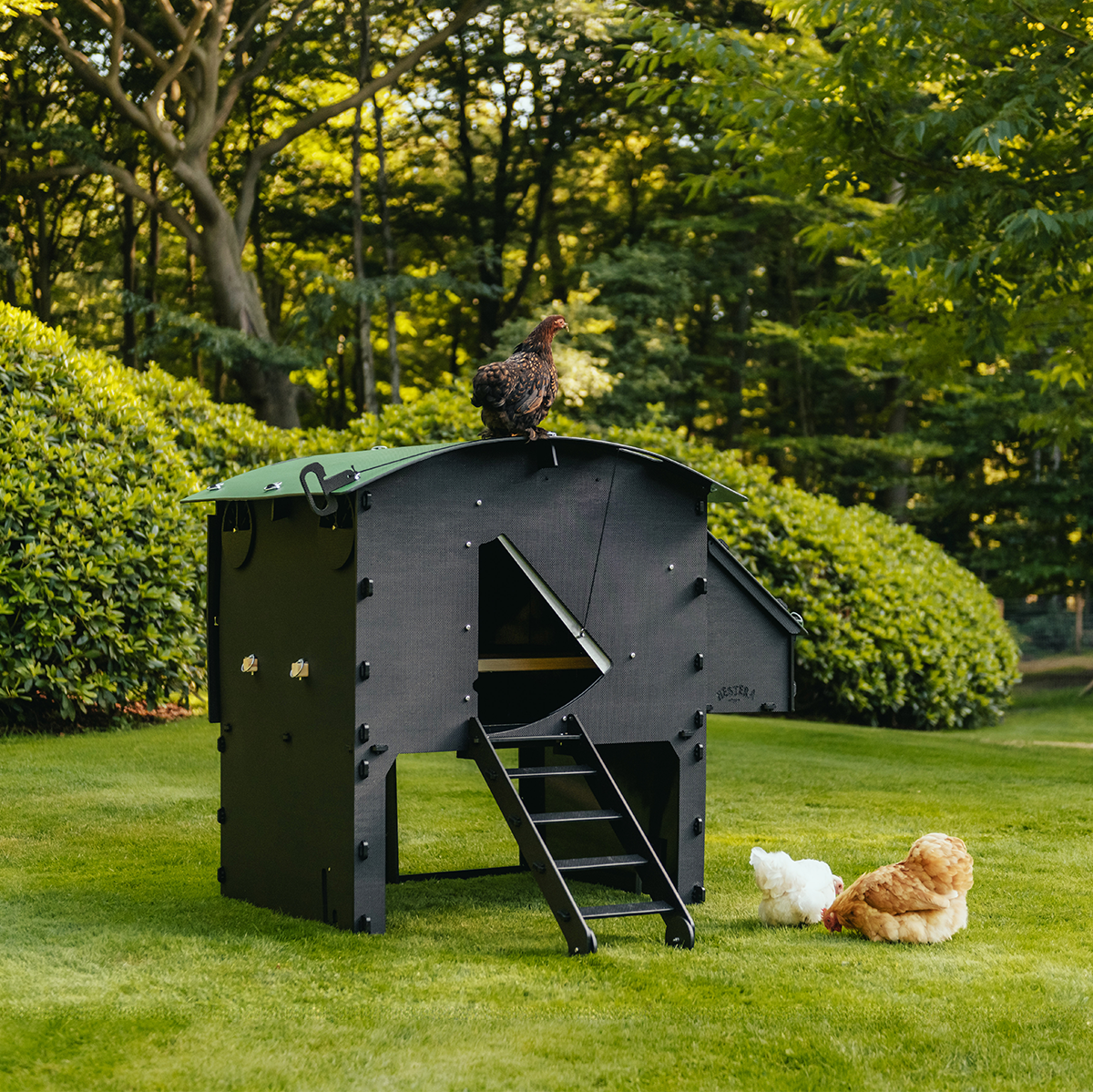 Nestera Large Raised Chicken Coop