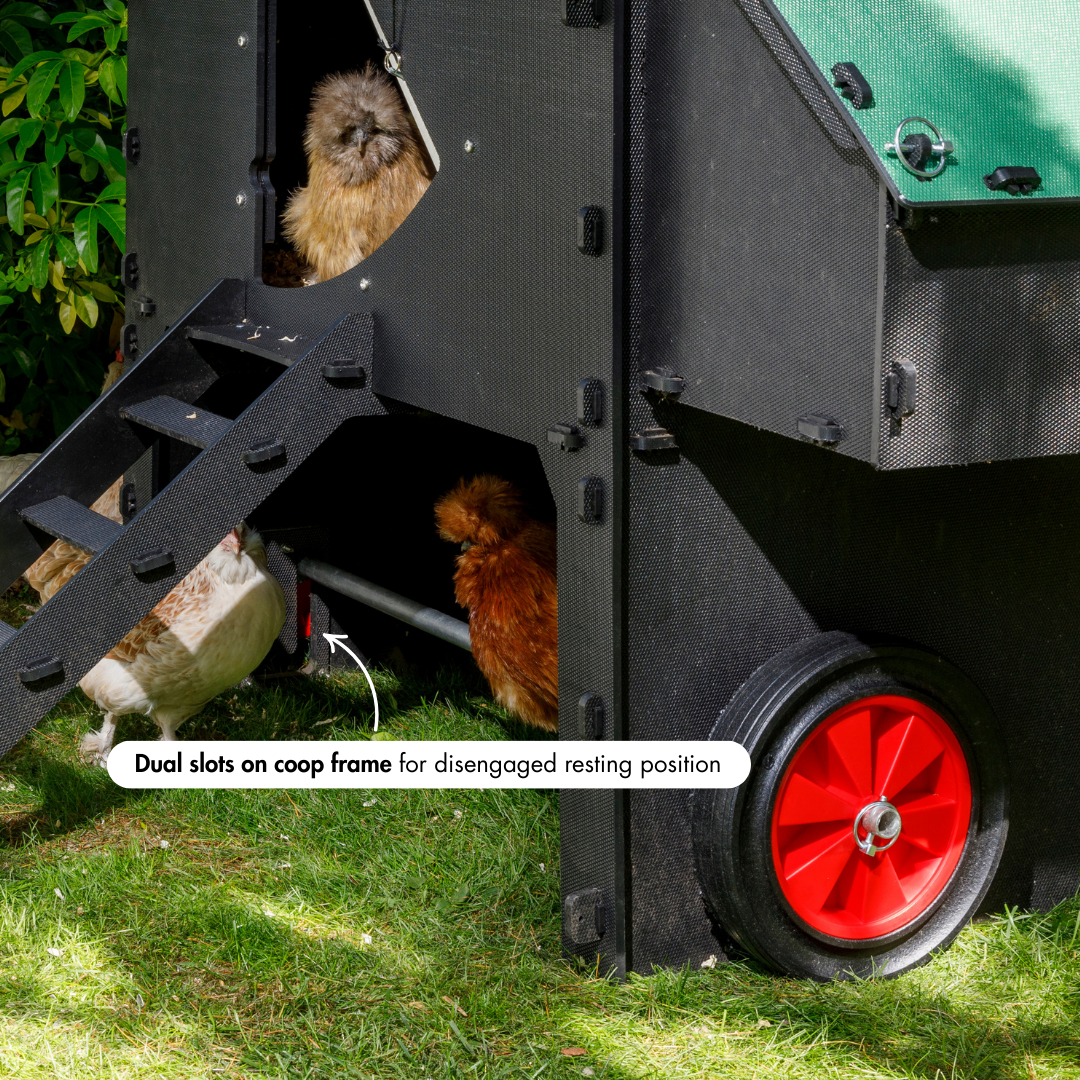 Nestera Penthouse chicken coop with wheel attachment