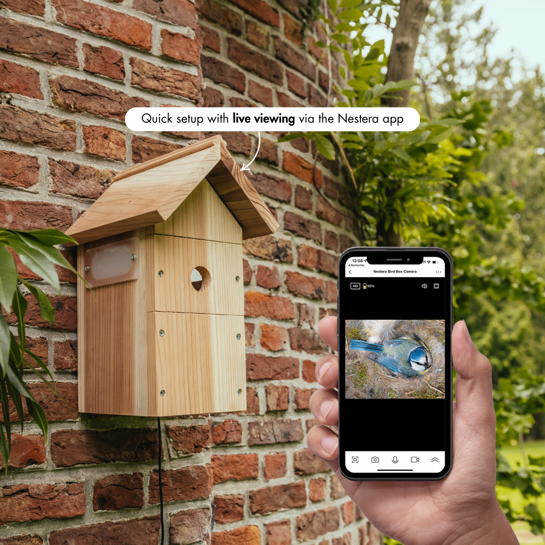 Nestera WiFi bird house camera connected to the Nestera app