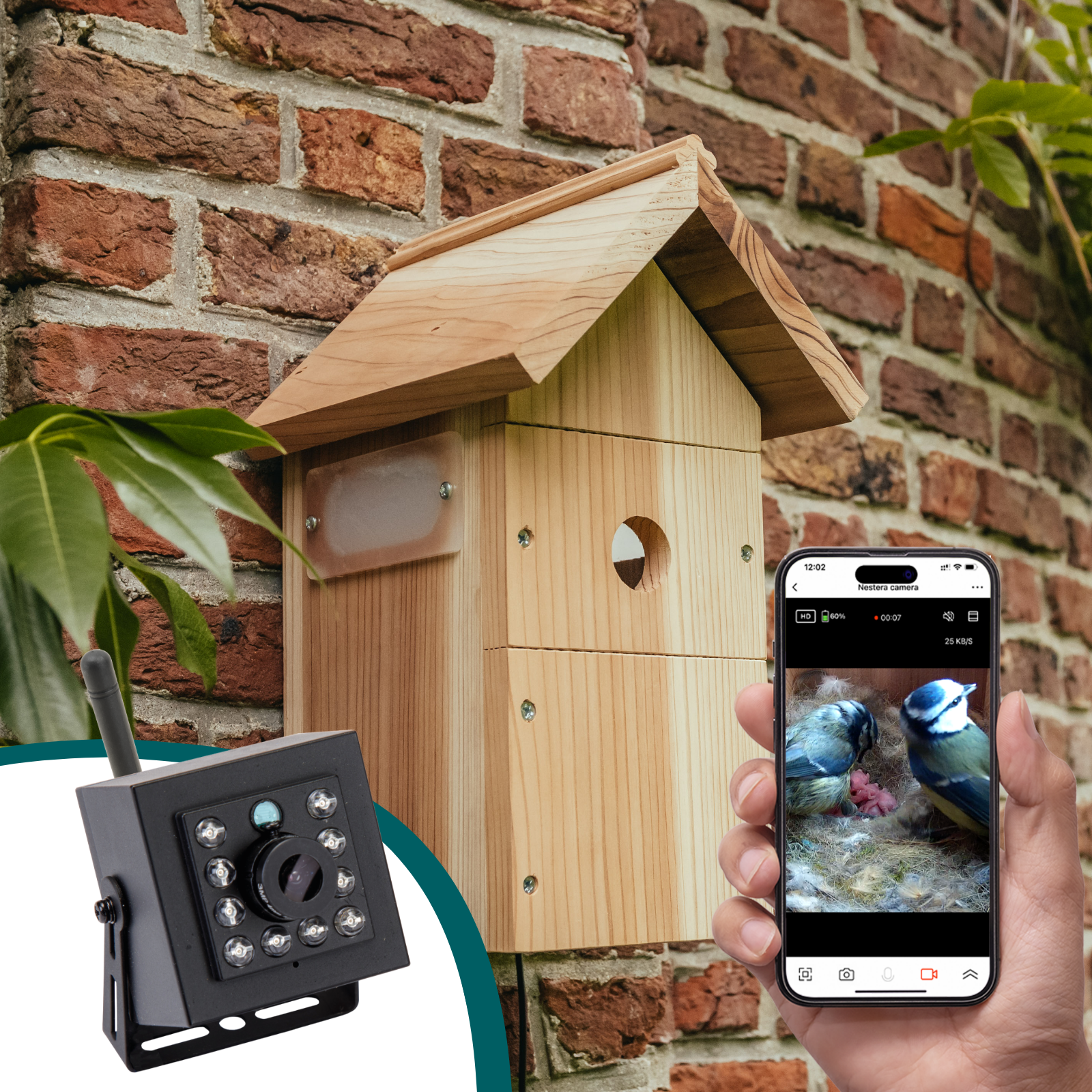 Nestera WiFi bird house camera system for watching nesting garden birds