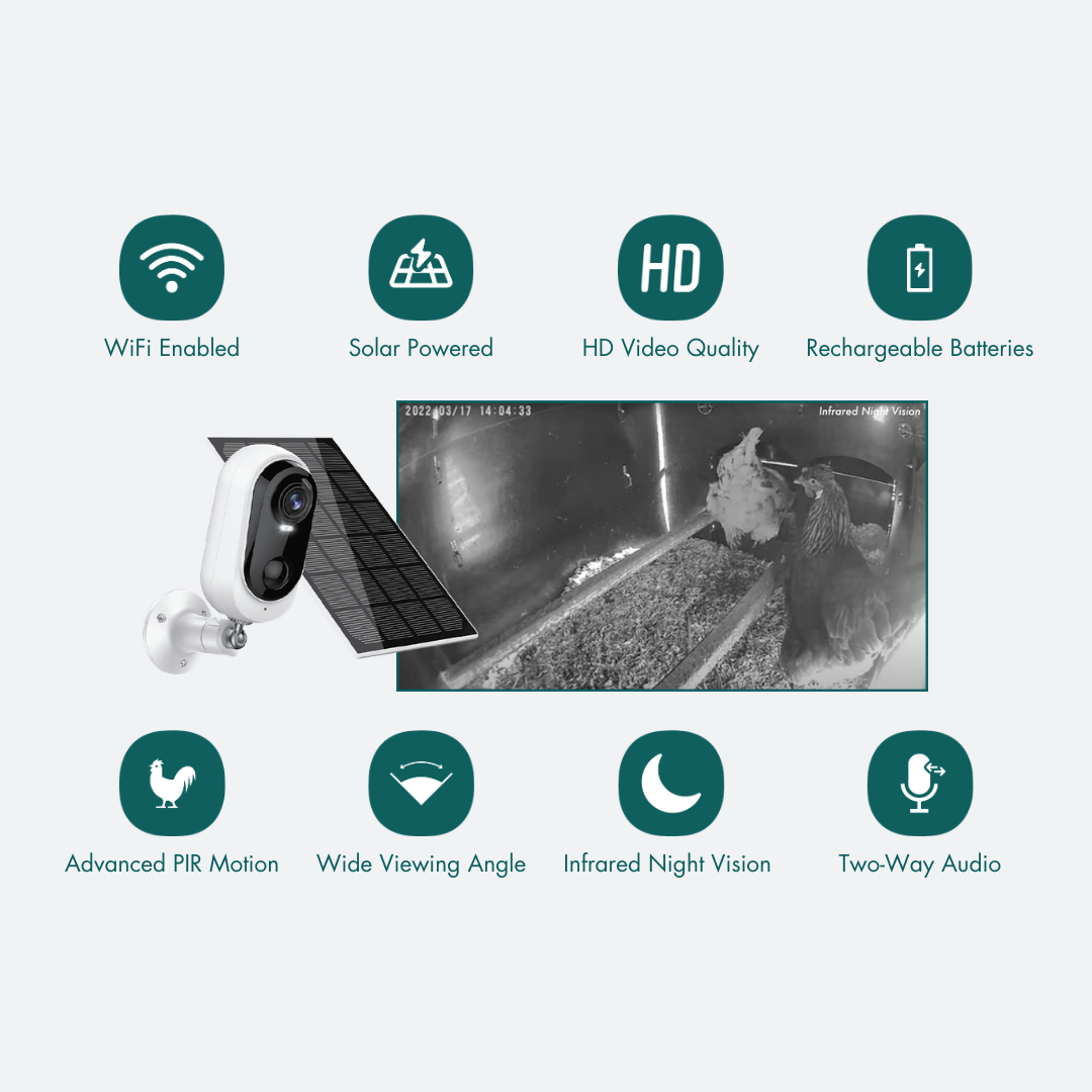 Nestera WiFi chicken coop camera key features