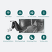 Nestera WiFi chicken coop camera key features