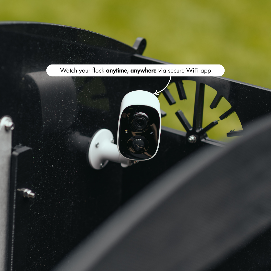 Nestera WiFi chicken coop camera mount outside the coop
