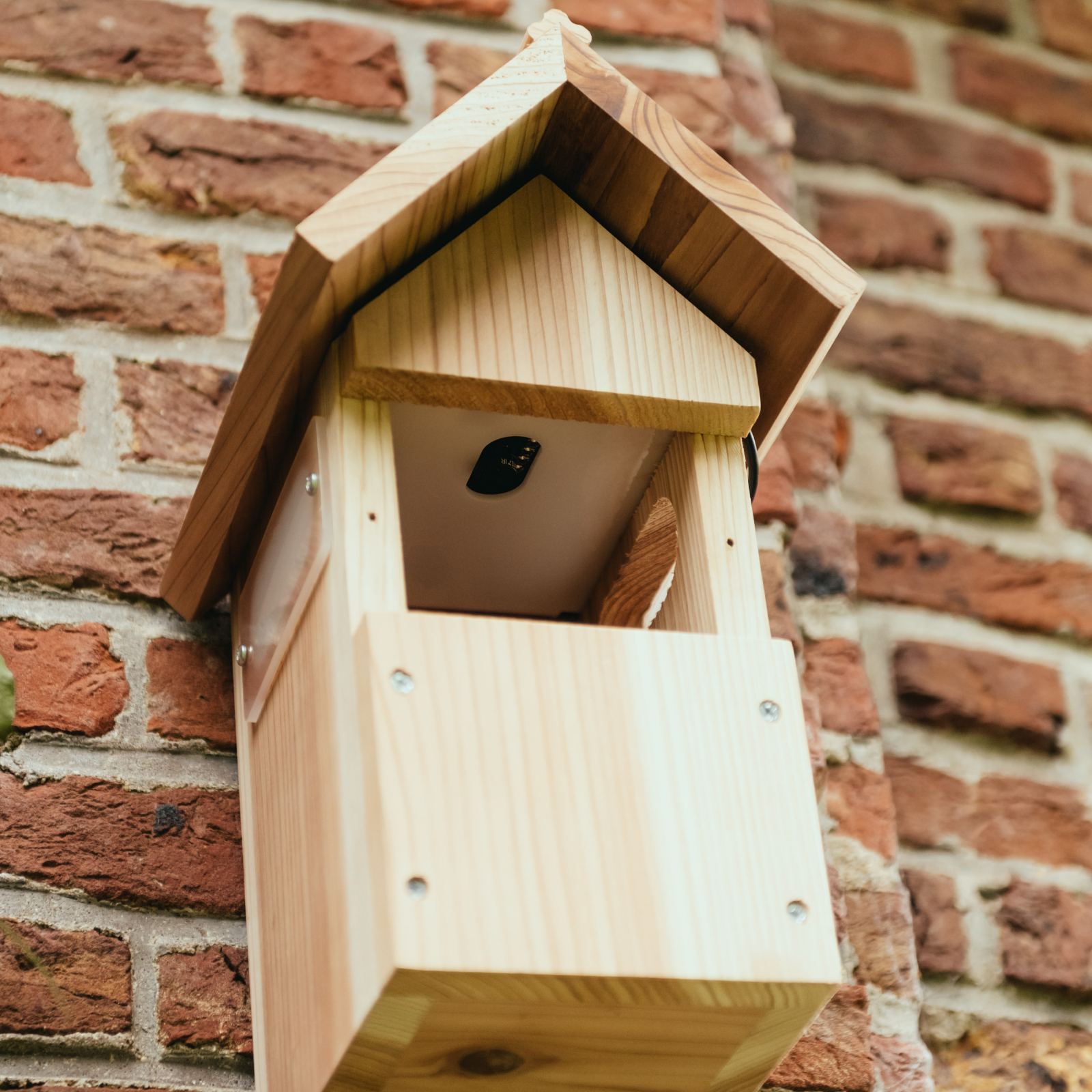 Nestera bird house camera system with 2560×1440P HD video