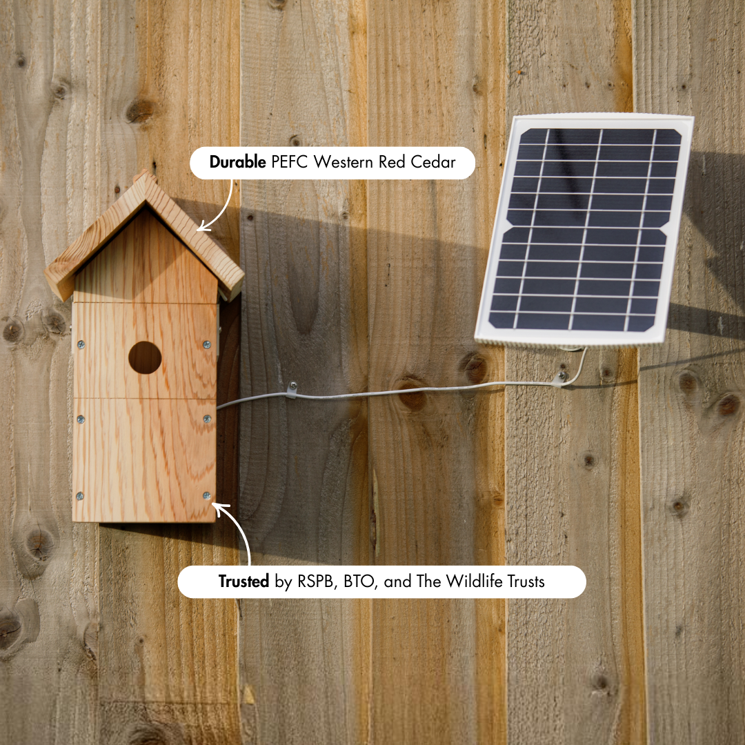 Nestera bird house camera with HD colour video