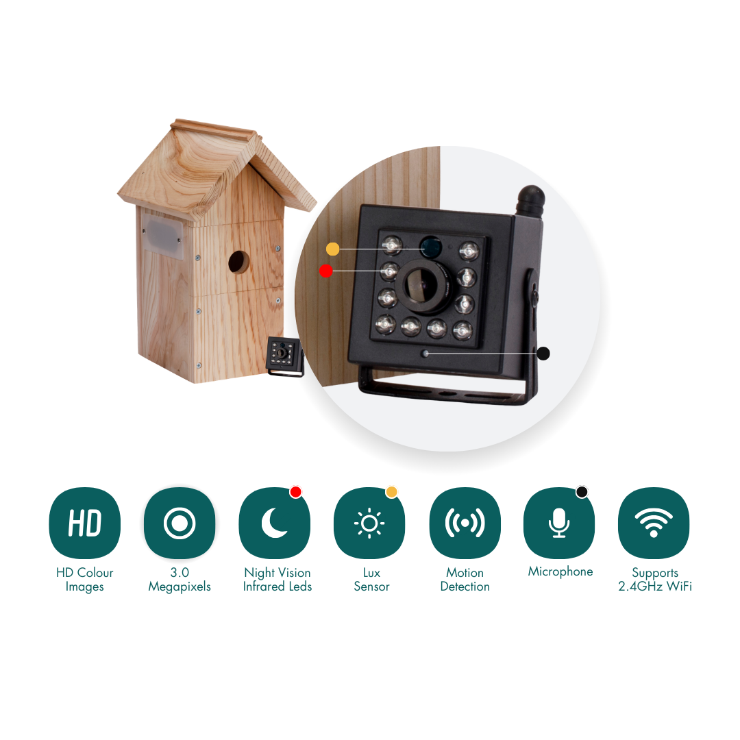 Nestera bird house camera with motion detection, automatic recording, and integrated microphone