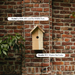 Nestera bird house with integrated WiFi camera for remote bird watching