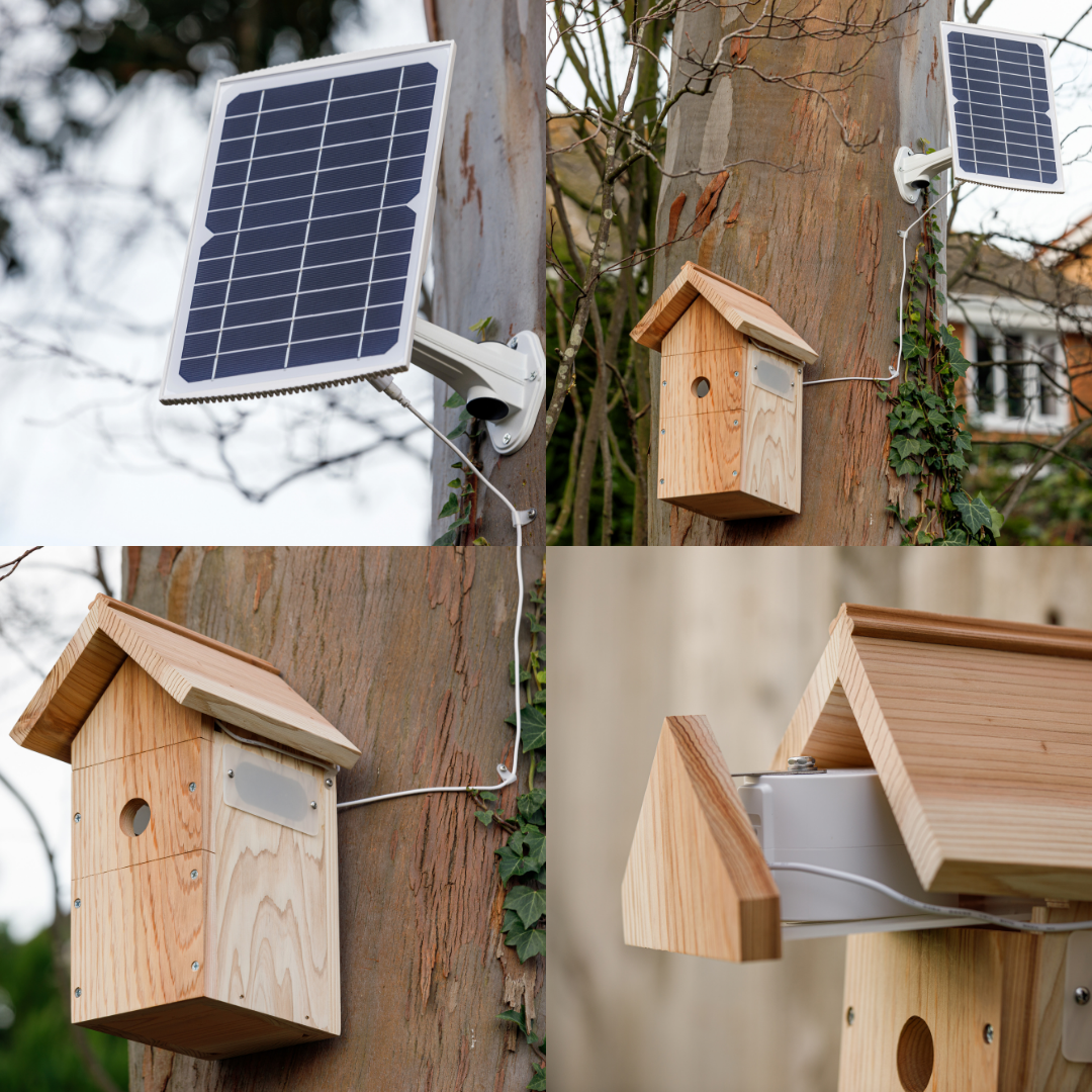 Nestera camera system for observing bird nests day and night