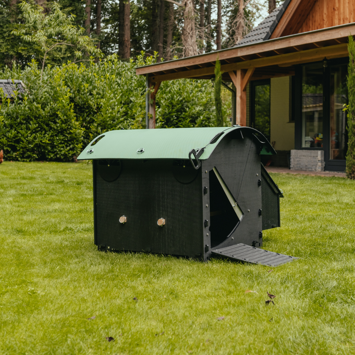 Nestera chicken coop medium ground lifestyle