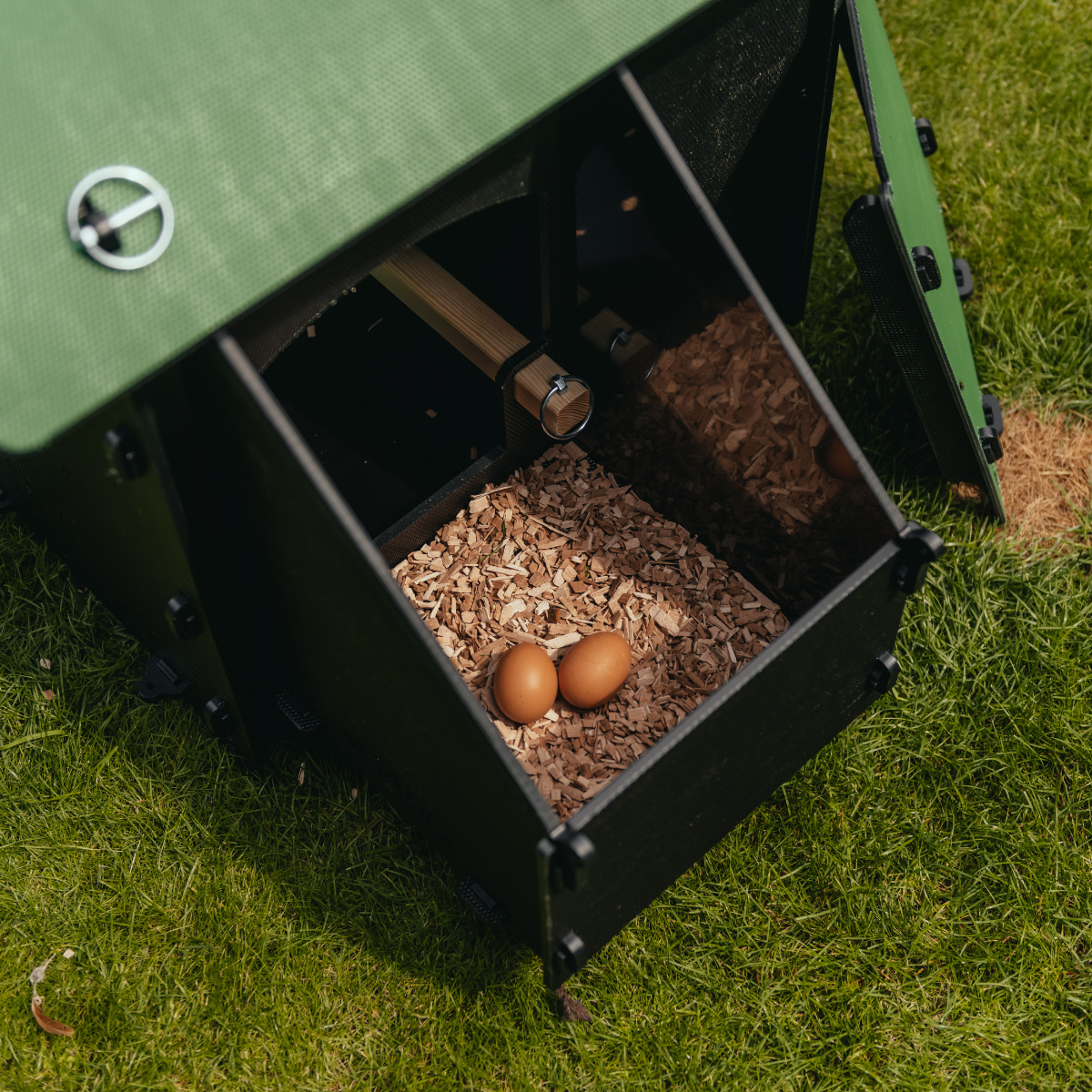 Nestera chicken coop with nesting box