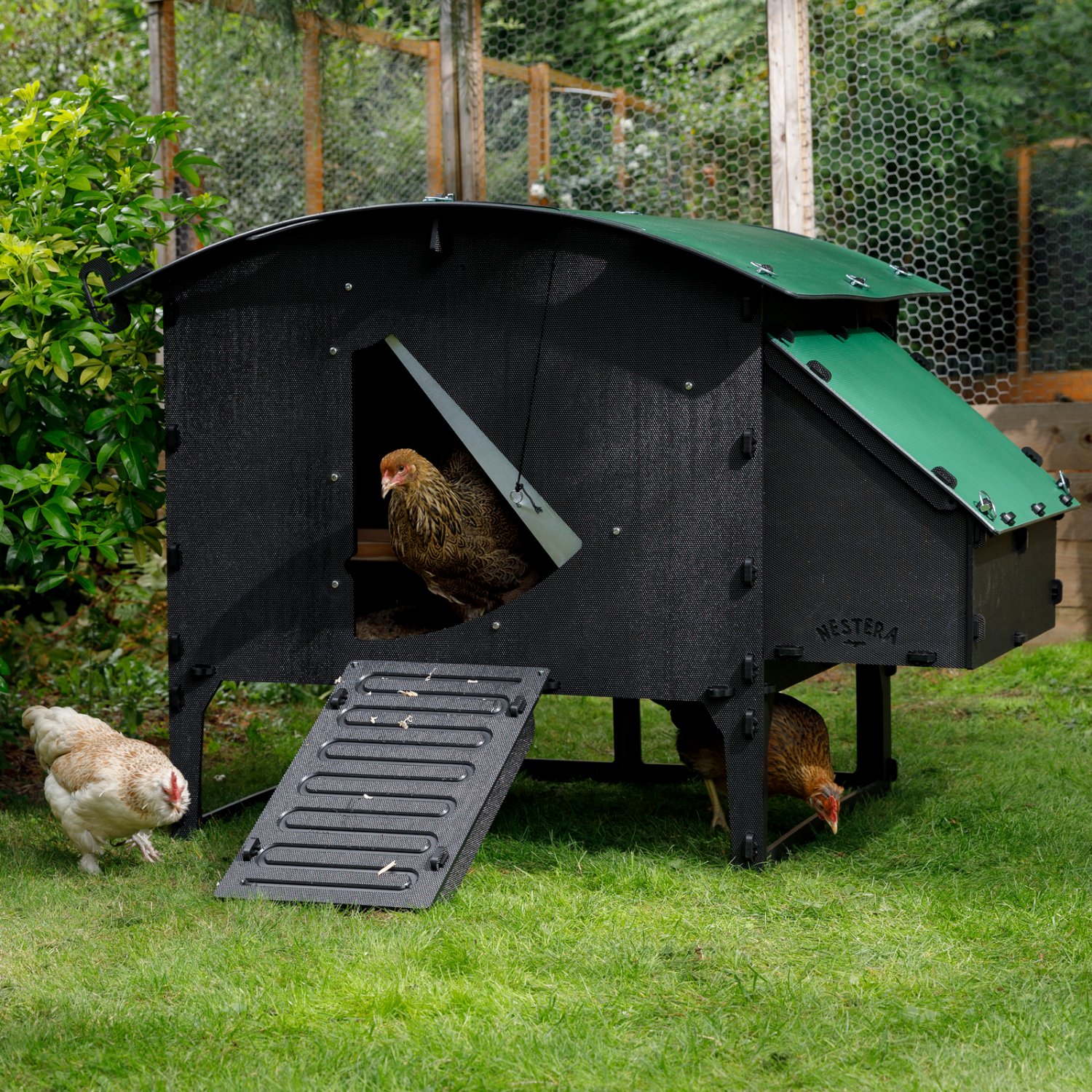 Nestera plastic chicken coop for hens Large Lodge