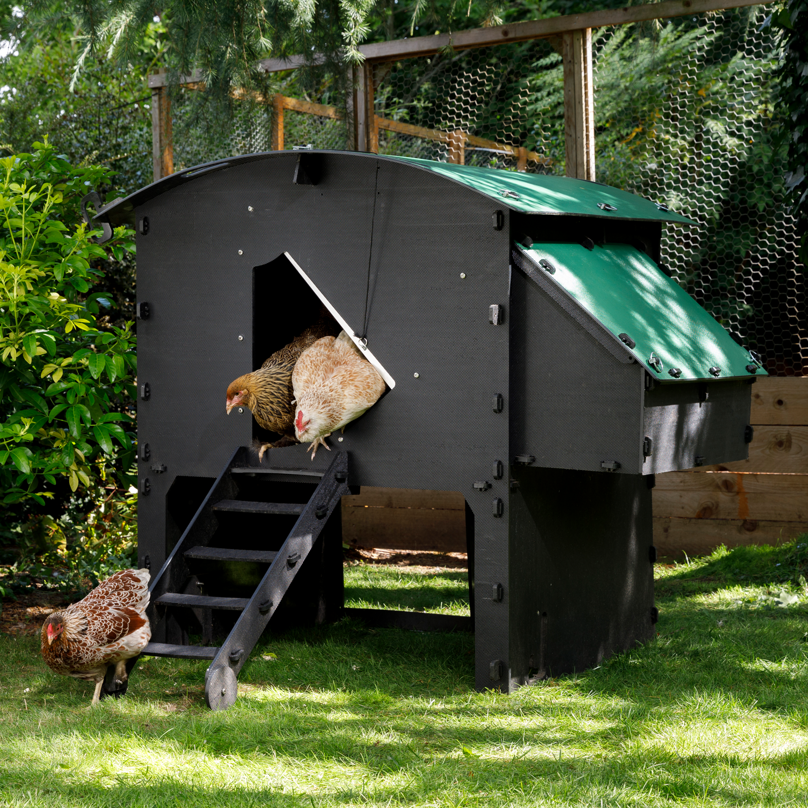Nestera plastic chicken coop for hens Large Penthouse