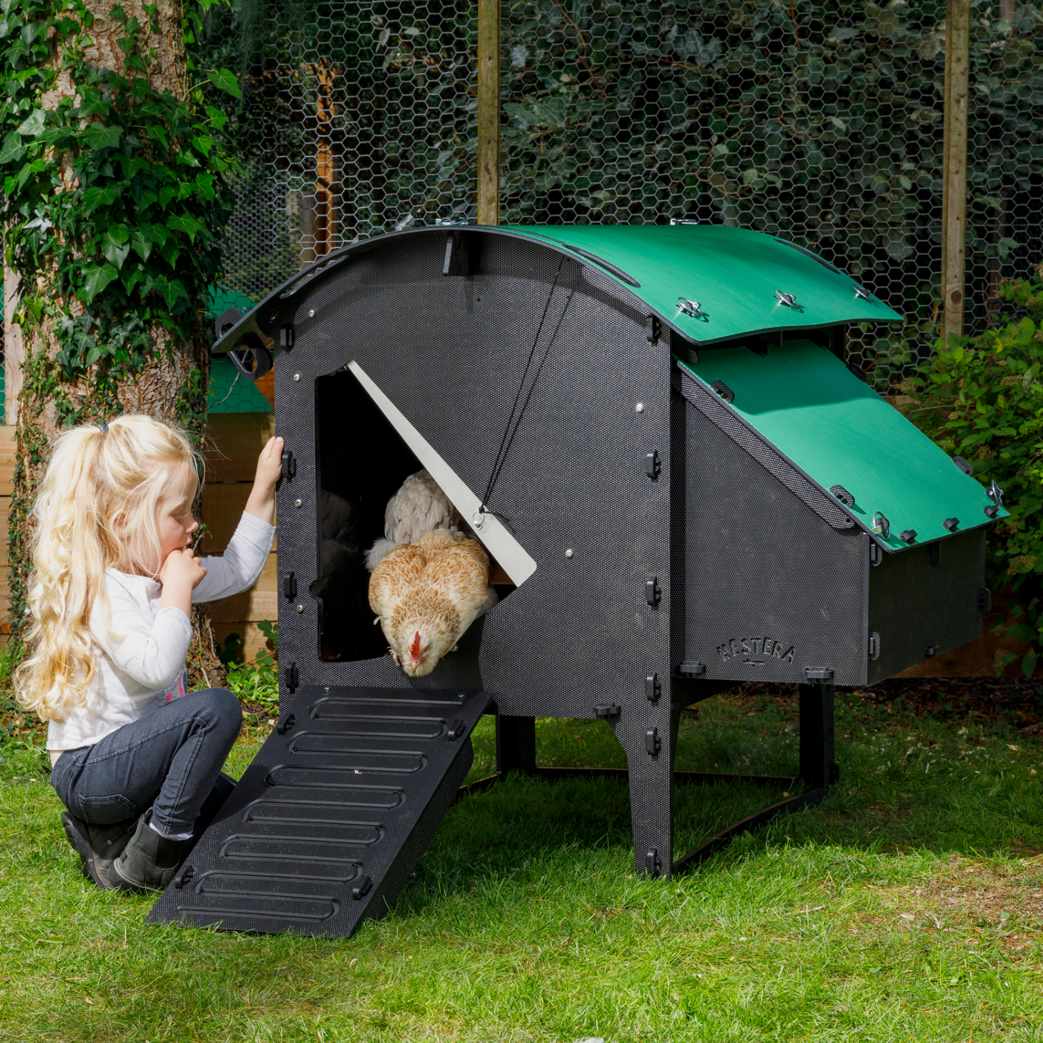 Nestera plastic chicken coop for hens Medium Lodge