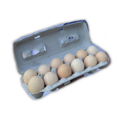 North Star Farms White American Bresse Hatching Eggs main image