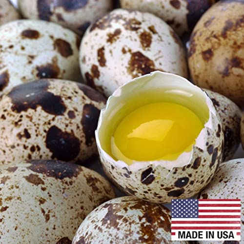 Nutritious Quail Eggs