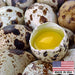 Nutritious Quail Eggs