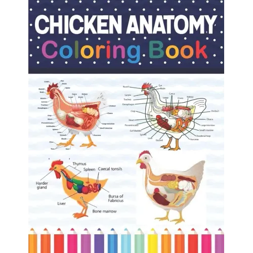 Chicken Anatomy Coloring Book: Chicken Anatomy and Veterinary Physiology Coloring Book. The New Surprising Magnificent Learning Structure For Veterin - Paperback