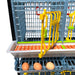  One-layer bantam chicken breeding pen with rust-proof plastic flooring