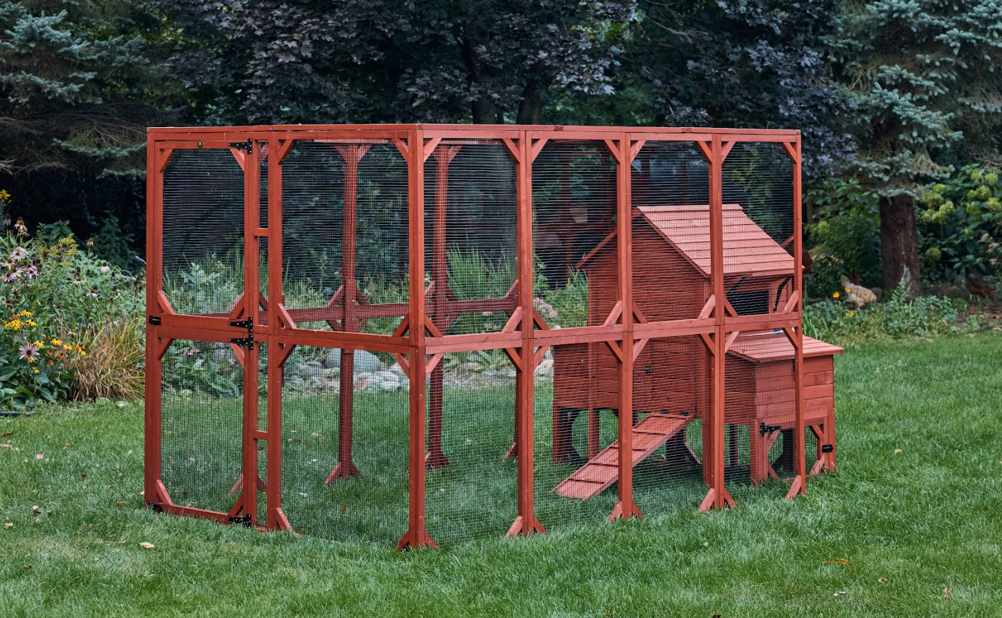 Chicken Coop Kit for 6 Chickens | Orpington Lodge