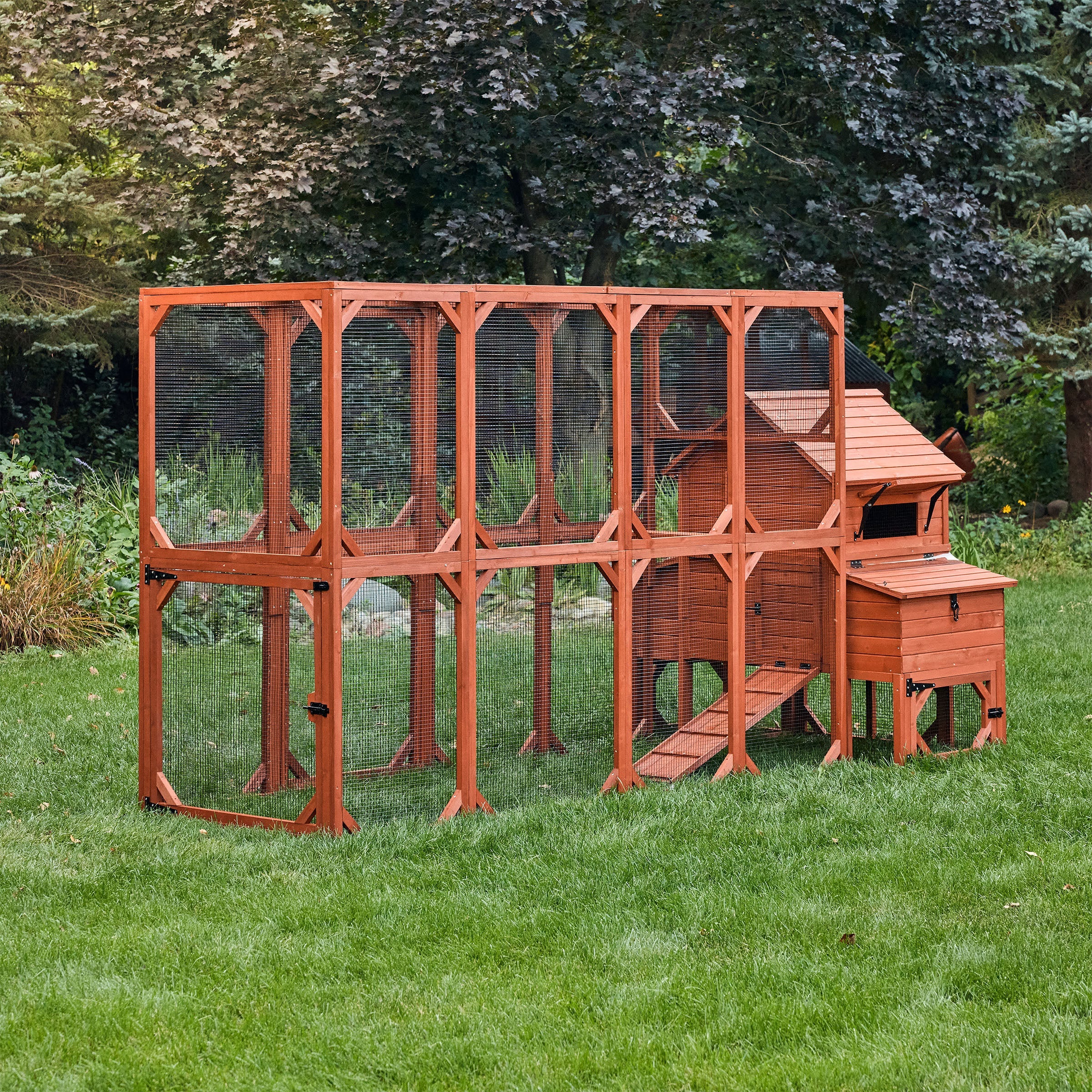 Chicken Coop Kit for 6 Chickens | Orpington Lodge