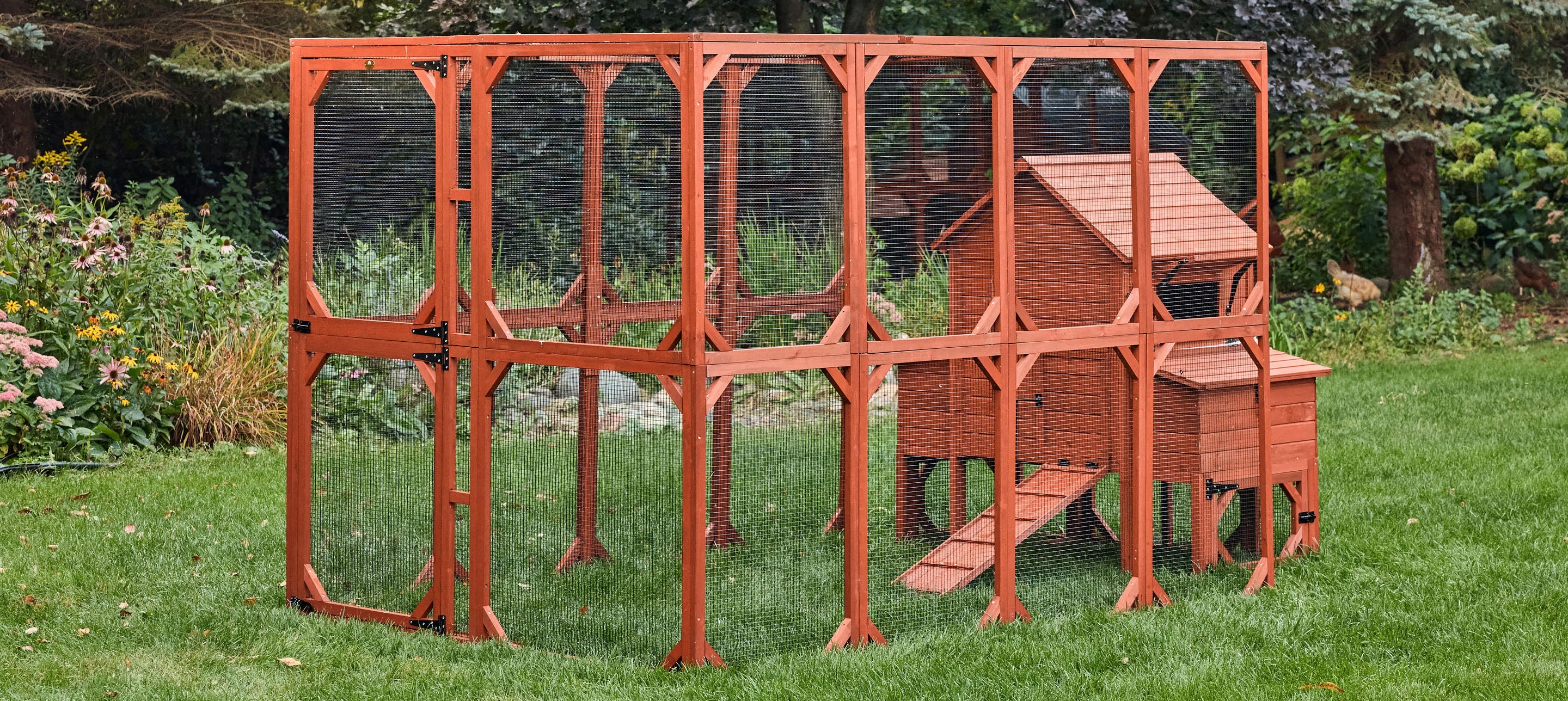 Chicken Coop Kit for 6 Chickens | Orpington Lodge