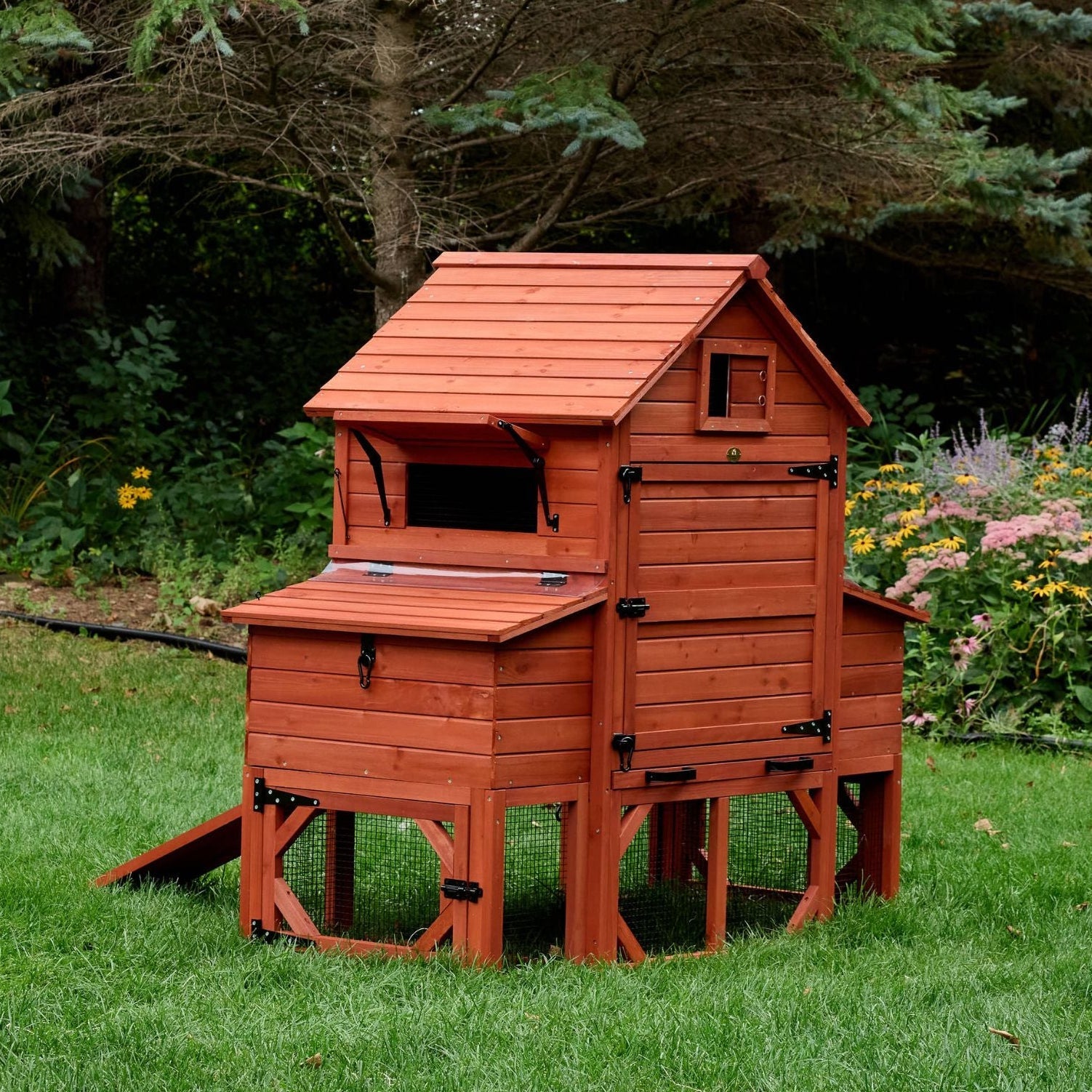 Chicken Coop Kit for 6 Chickens | Orpington Lodge