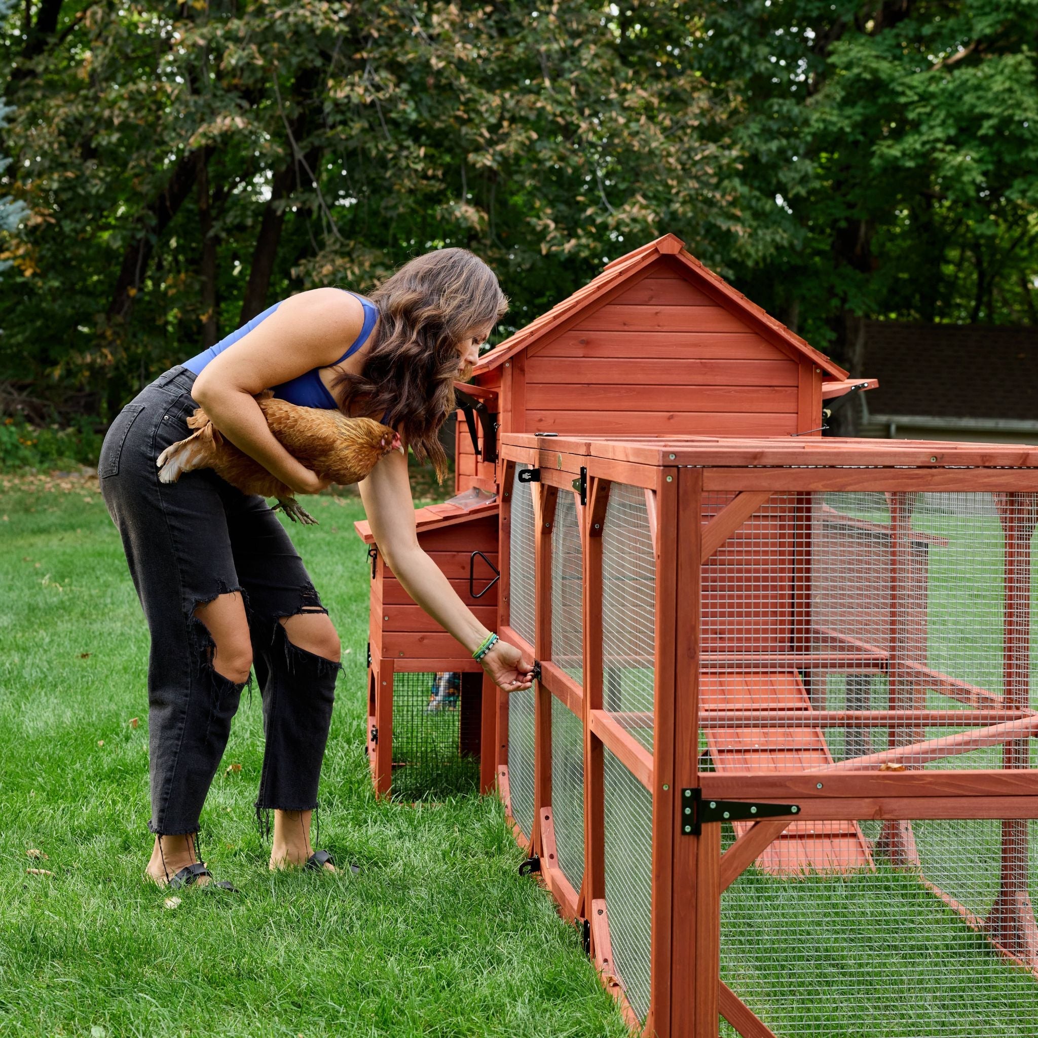 Chicken Coop Kit for 6 Chickens | Orpington Lodge