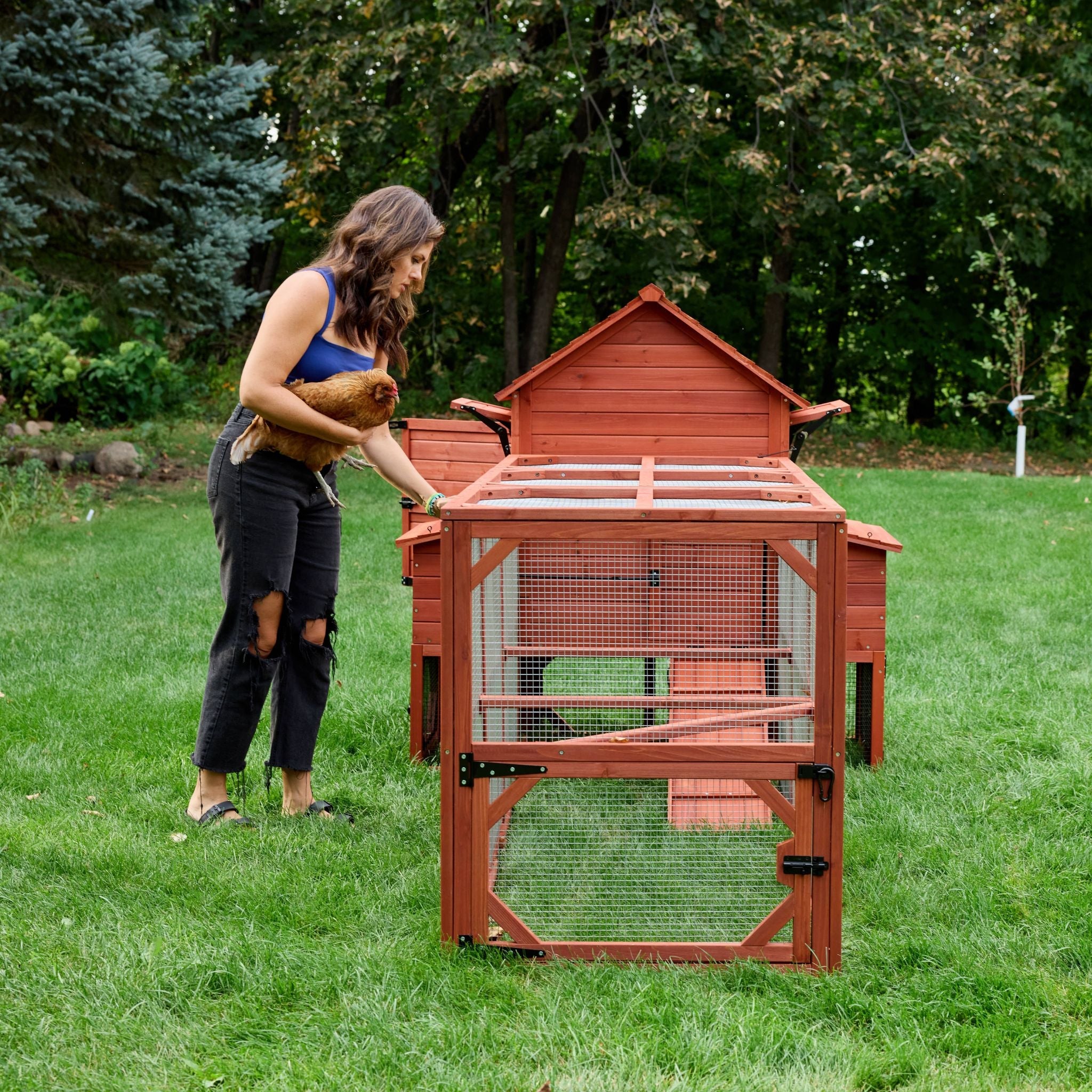 Chicken Coop Kit for 6 Chickens | Orpington Lodge
