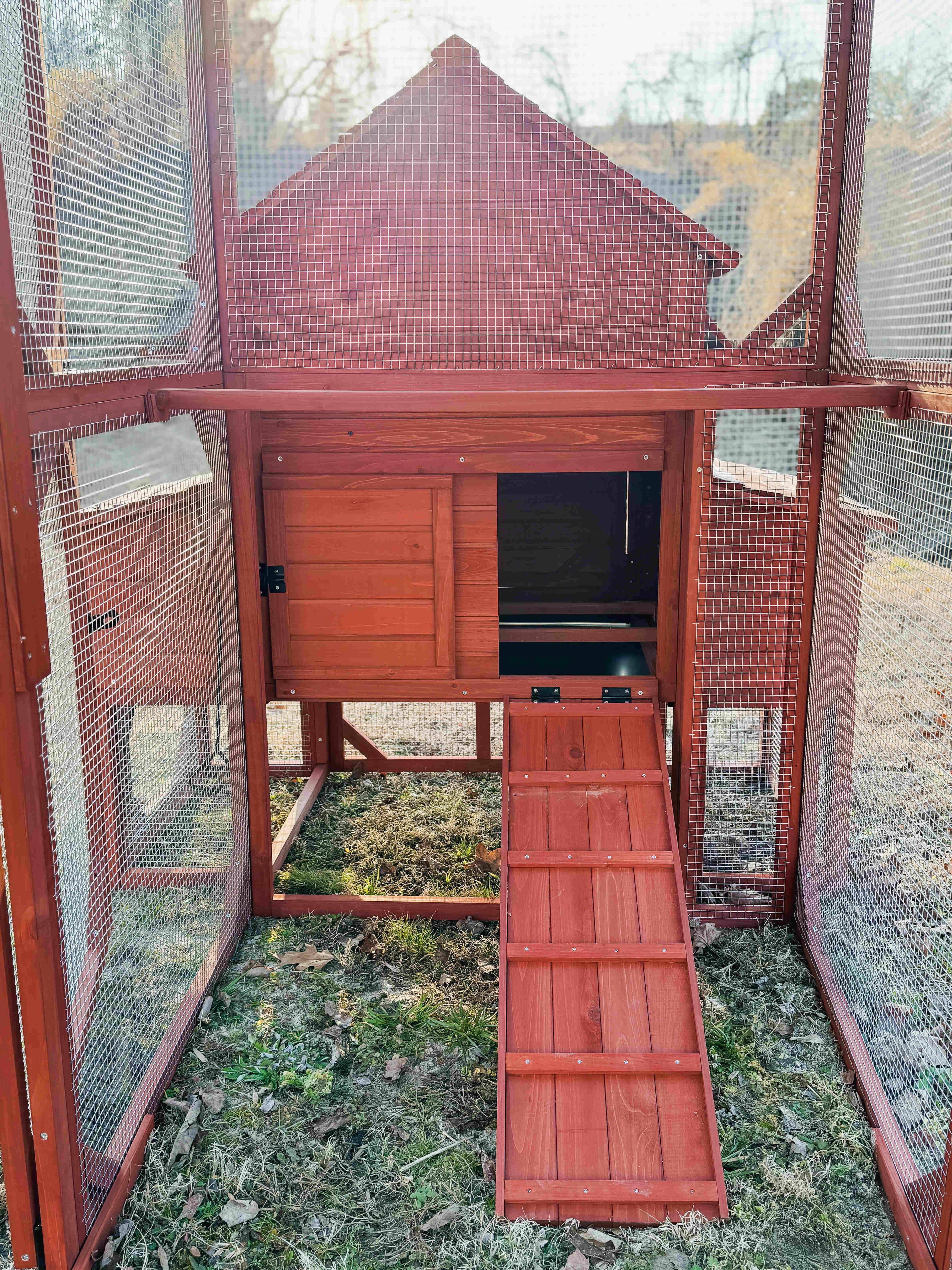 Chicken Coop Kit for 6 Chickens | Orpington Lodge