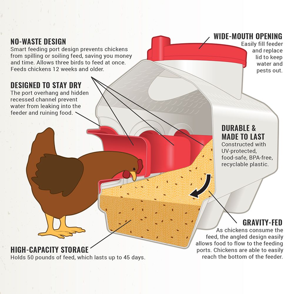 OverEZ Chicken Feeder Holds 50 lbs of Feed No-Waste