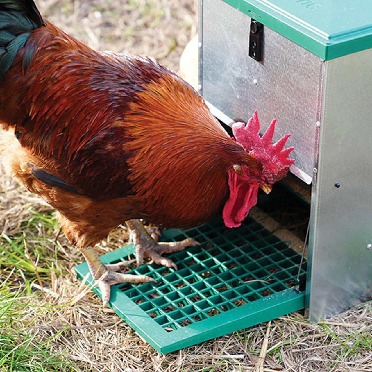 Feedomatic Automatic Treadle Feeder