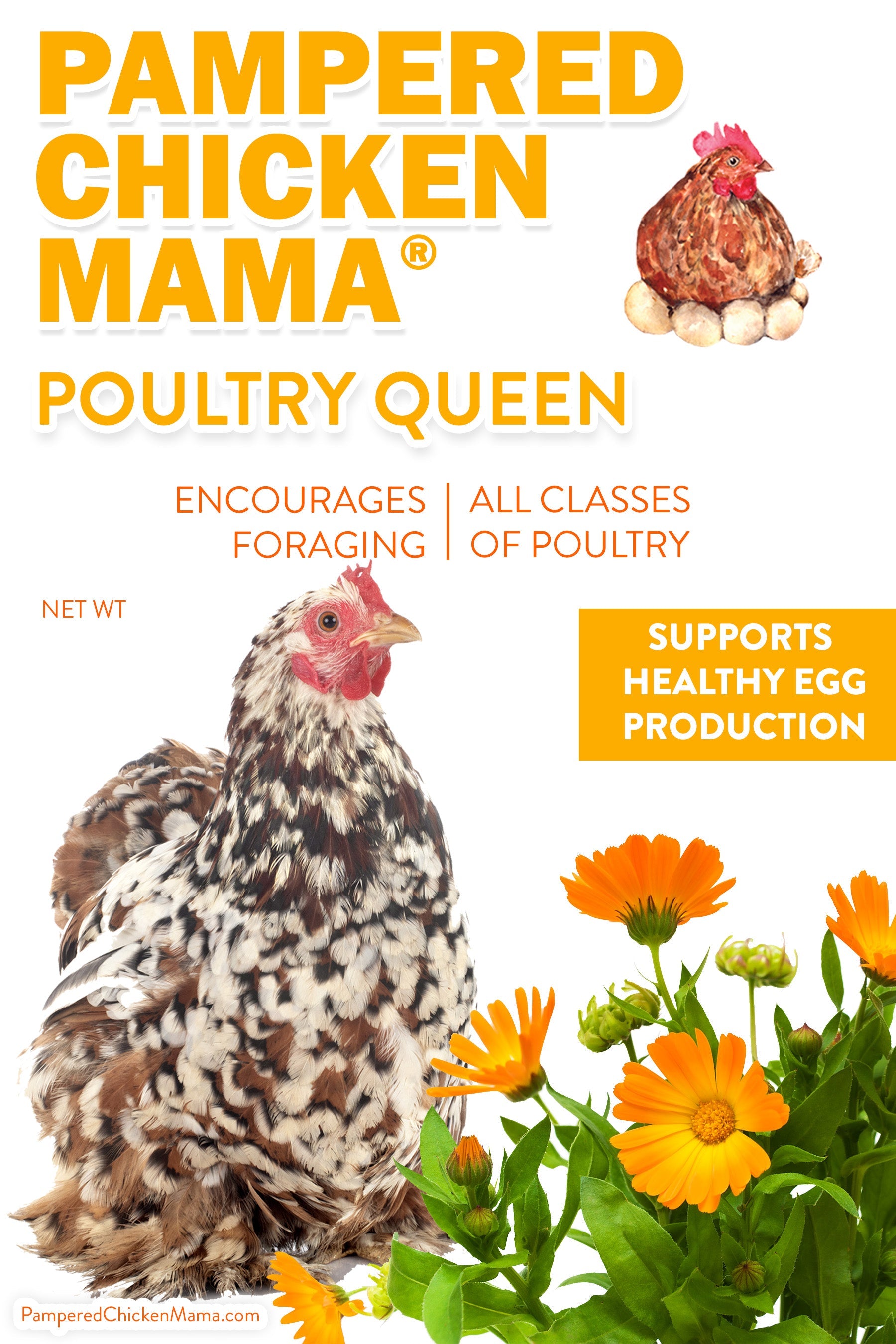 Pampered Chicken Mama Poultry Queen Mealworm, Non-GMO Corn, Non-GMO Flax, & Herb Treat For Pet Chickens