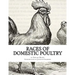 Races of Domestic Poultry: A Guide to Poultry Breeds