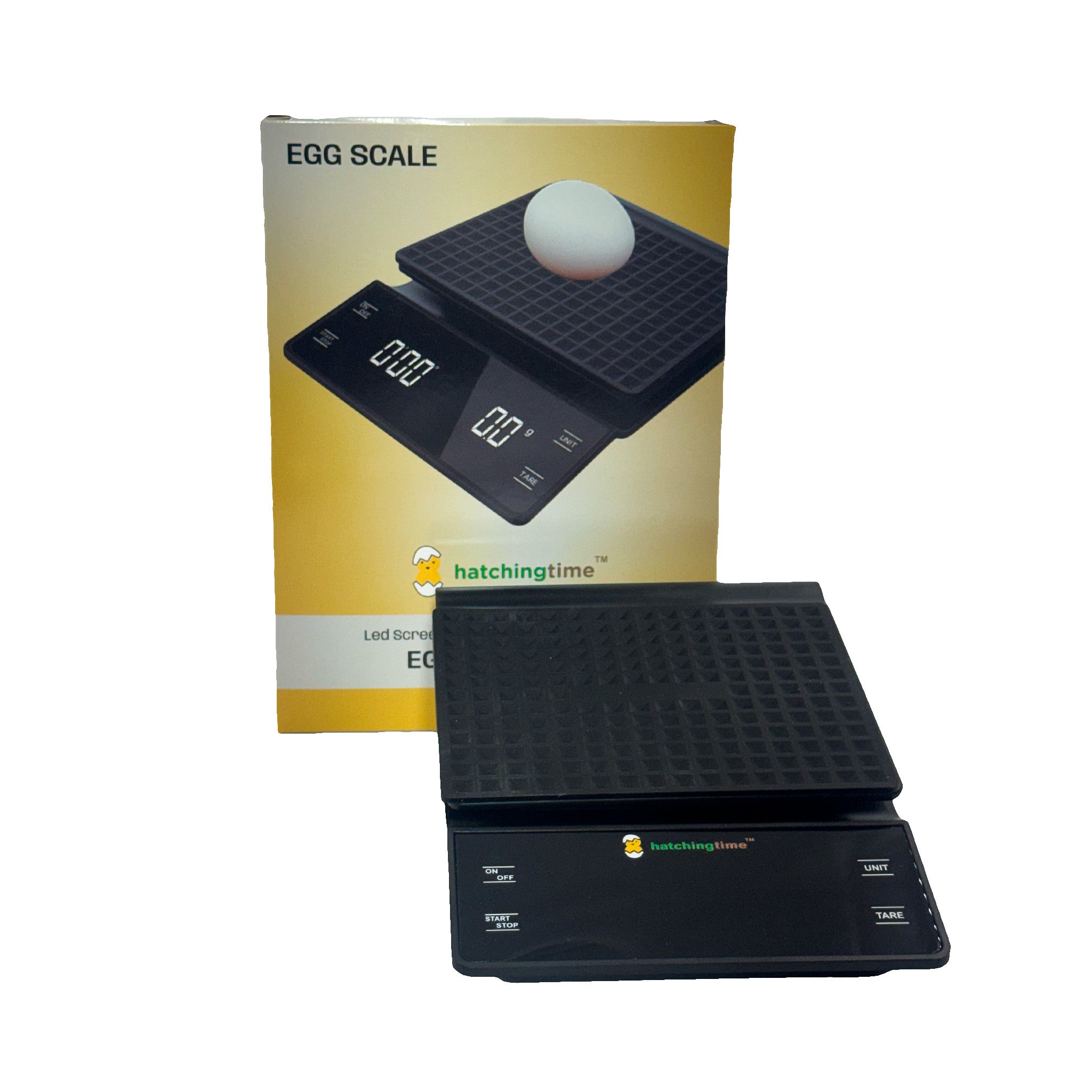 PP plastic digital weighing scale with a slim profile and battery-powered operation
